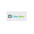 Cybervibers