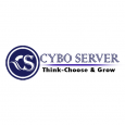 Cyboserver