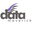 Data Maverick