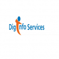 DiginfoExpert Services