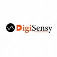 DigiSensy
