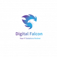 Digital Falcon LLC