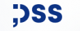 DSS - Digital and Software Solutions