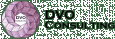 DVO Consulting