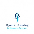 Dynamic Consulting and Business Services LLC