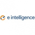 e intelligence - Digital Marketing Agency