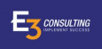 E3 Consulting