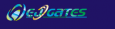 EJGates Infotech Private Limited