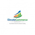 ElevateCommerce Assist