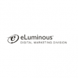 Eluminous Technologies Digital Marketing