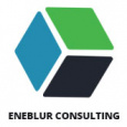 Eneblur Consulting