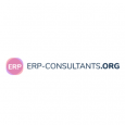 ERP-Consultants