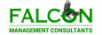 Falcon Management Consultants
