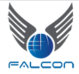 Falcon Services