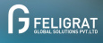 Feligrat Global Solutions Pvt. Ltd.