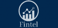 Fintel Analytics