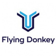 Flying Donkey IT