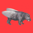 Flying Hippo