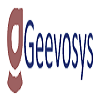 Geevosys Infosystems Limited 