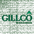 Gillco Group