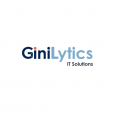 GiniLytics IT Solutions
