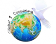 Global 1 Consulting LLC
