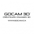 GOCAM 3D