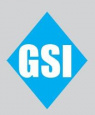 GSI INFINITY SOLUTIONS