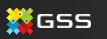 GSS