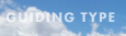 Guiding Type