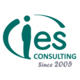 IES Consulting