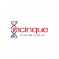 Incinque Business Solutions