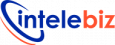 Intelebiz Software Pvt Ltd.