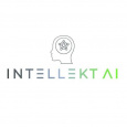 Intellekt AI LLP