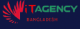 IT Agency Bangladesh