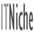 IT Niche