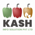 kash info solutions pvt Ltd.