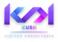 KUSH Fintech Consultant 