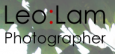 Leo Lam Studio
