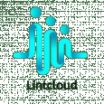 Lintcloud