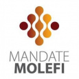 Mandate Molefi