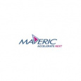 Maveric Systems Ltd