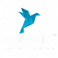 Meraki Carriers Private Limited
