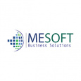 Mesoft Business Solutions