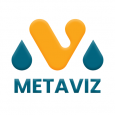 Metaviz Pro