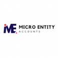 Micro Entity Accounts