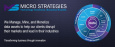 Micro Strategies Inc.