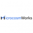 Microcosmworks LLP