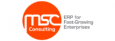 MSC Consulting
