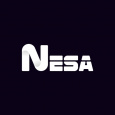 Nesa software private limited